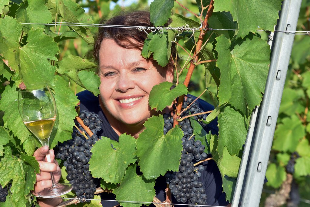 mirjana maksimović portret u vinogradu među grozdovima