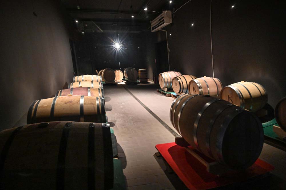 Barique sala vinarije Knežević u Sremskim Karlovcima